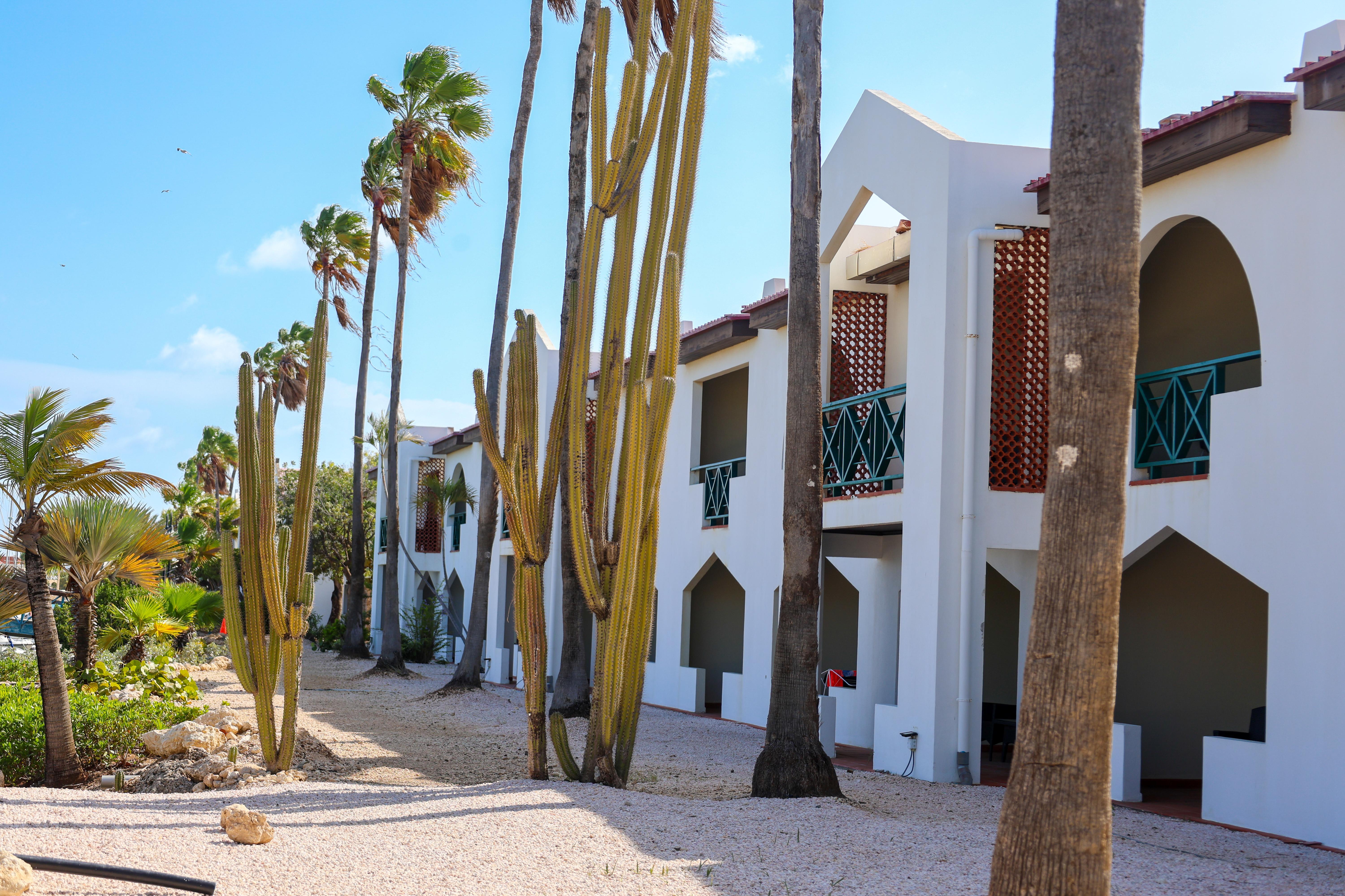 Van Der Valk Plaza Beach & Dive Resort Bonaire Kralendijk  Exterior foto